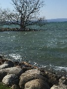 Canandaigua
